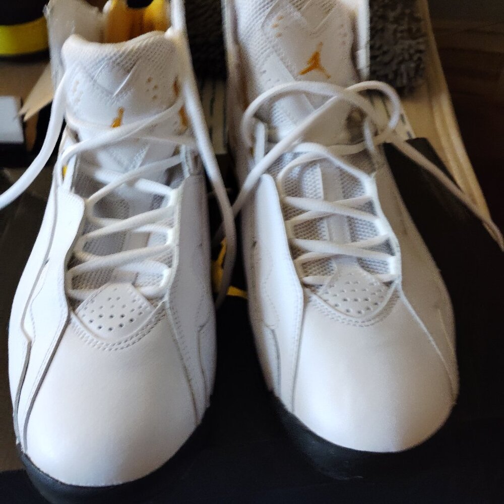 Jordan Brand new True Flight Sneakers